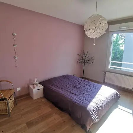 T2 Meuble Avec Vue Ribeauvillé